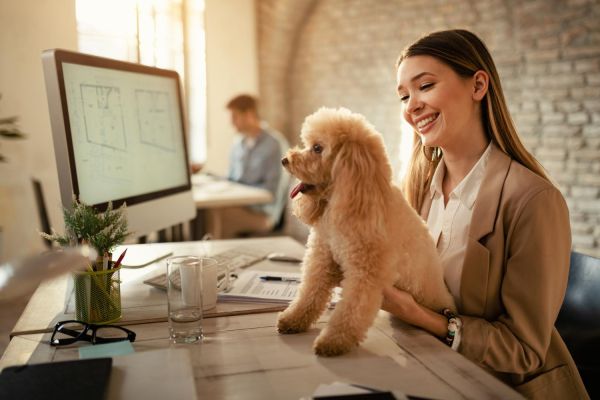 Assurance chien : 10 mythes démystifiés